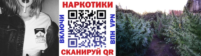Купить Амфетамин  Бошки Шишки  Меф  Гашиш  Новосокольники
