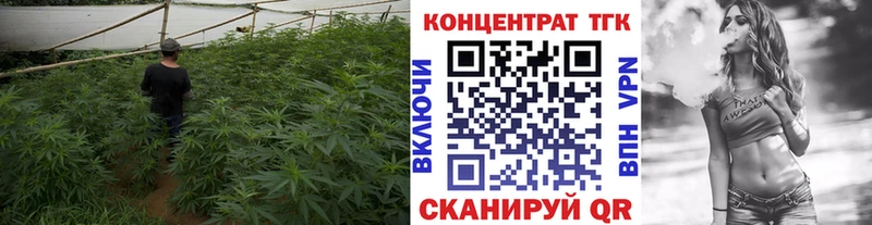 Купить где  Новосокольники  ТГК вейп 